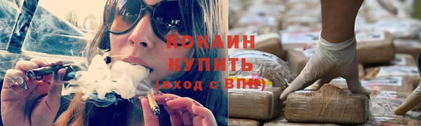 PSILOCYBIN Горно-Алтайск