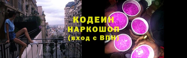 PSILOCYBIN Горно-Алтайск