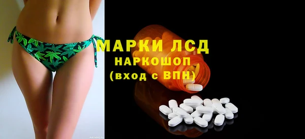 PSILOCYBIN Горно-Алтайск
