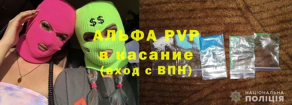 PSILOCYBIN Горно-Алтайск